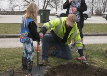 One of the littlest scouts helps Public Works dig a hole.