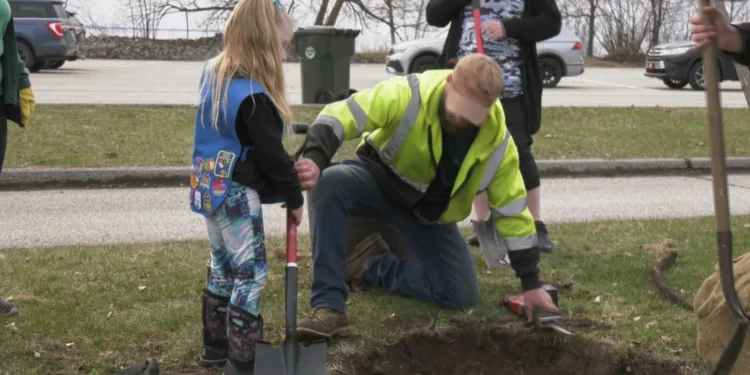 One of the littlest scouts helps Public Works dig a hole.