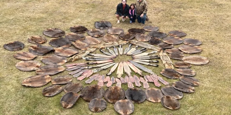 Roy Dahlgren, along with his daughter Alexis and granddaughter Ava, pose with a mixed bag of fur. Photo courtesy of Roy Dahlgren.