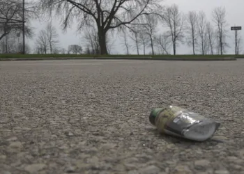 Litter in Ludington Park