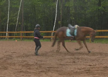 Lind practices for the show with her horse, Willy Win the League