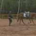 Lind practices for the show with her horse, Willy Win the League