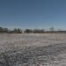 The Municipal Dock park has been mentioned as a potential location for a rink.