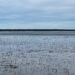 Courtesy: Michigan DNR