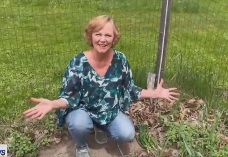 The Yooper Goddess: Mid-spring check-up on the garden