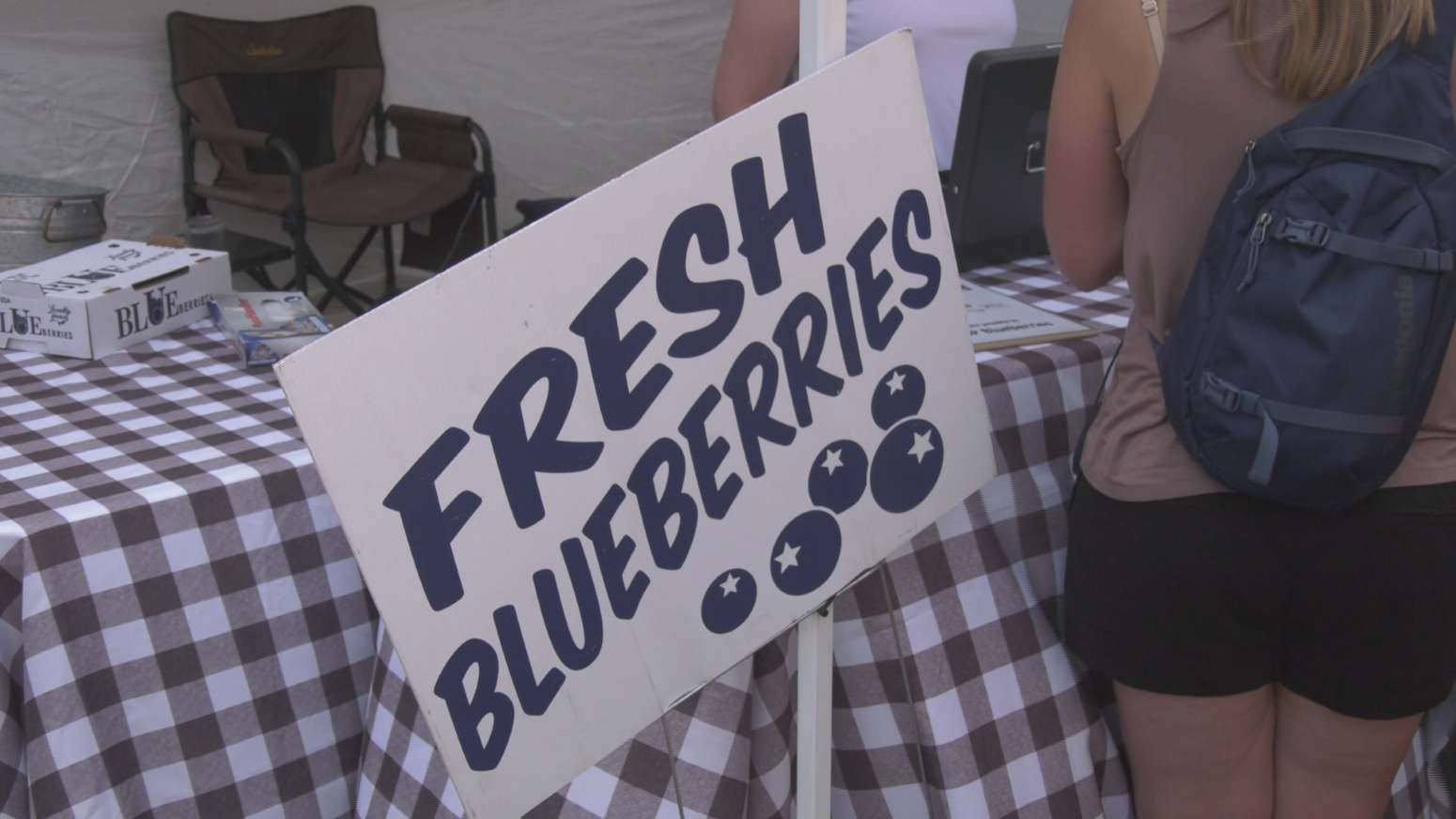 25th annual Blueberry Fest takes over downtown Marquette