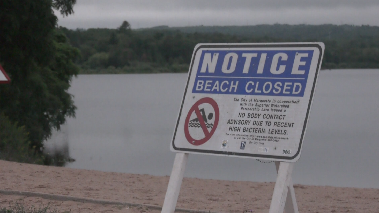 Tourist Park beach closed due to elevated E. coli levels
