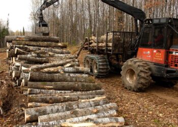 Timber is loaded onto a trailer for transport. Michigan's forest products industry is expanding, thanks to new investment from global companies such as Arauco, which opened a Grayling plant in 2019.
