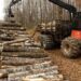 Timber is loaded onto a trailer for transport. Michigan's forest products industry is expanding, thanks to new investment from global companies such as Arauco, which opened a Grayling plant in 2019.