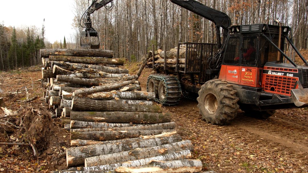 Michigan’s expanding forestry industry contributes more than  billion to the state’s economy