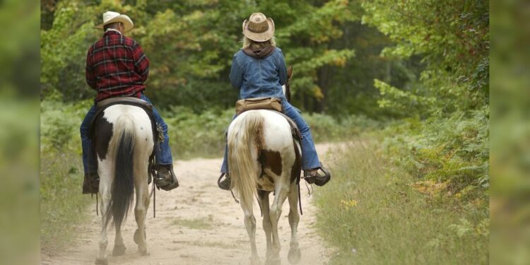 (Courtesy: Michigan DNR) Community members are invited to a public meeting Monday, July 15, to learn more about recent upgrades to the Thunder Valley Equestrian Trail and provide feedback on whether this Marquette County pathway should allow trail users other than equine.