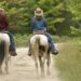 (Courtesy: Michigan DNR) Community members are invited to a public meeting Monday, July 15, to learn more about recent upgrades to the Thunder Valley Equestrian Trail and provide feedback on whether this Marquette County pathway should allow trail users other than equine.