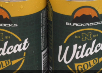 Cans of Wildcat Gold available at Black Rocks