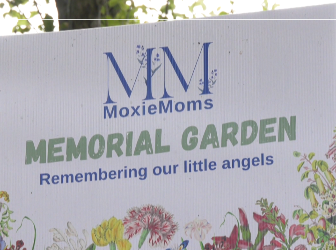 New Marquette memorial garden opens