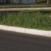 In some places, more weeds have grown back than grass.