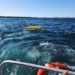 Coast Guard rescues boaters from capsized vessel
