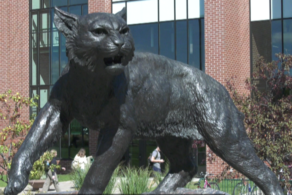 On Friday the Northern Michigan University Board of Trustees approved an operating budget of close to 131 million dollars, which includes $2.6 million in new investments. The university was able to maintain a balanced budget due to higher enrollment and a state appropriation boost of 1.6%. The 2024-2025 budget is an increase of nearly $5.8 million from the previous fiscal year. NMU'S total enrollment is up nearly 3% NMU Vice President for Finance and Administration, Gavin Leach says the university is in good financial shape and looking forward to further expansion.