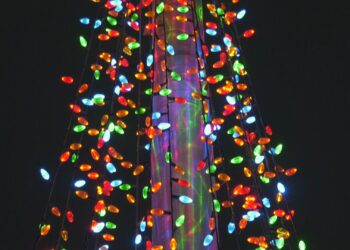 Lights on last year's Tree of Honor and Remembrance