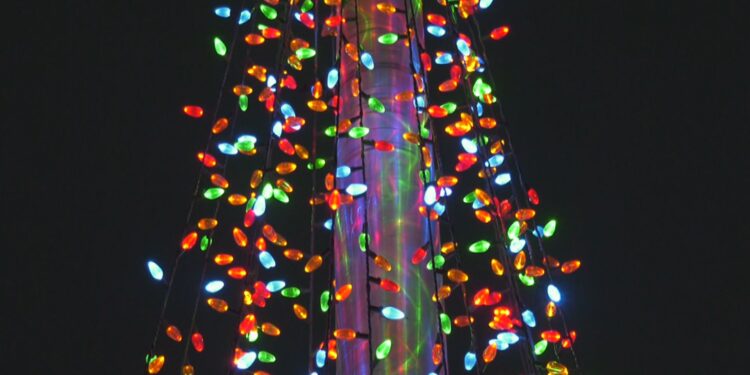 Lights on last year's Tree of Honor and Remembrance