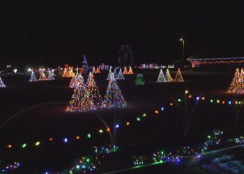 Part of last year's Lights in the Park display