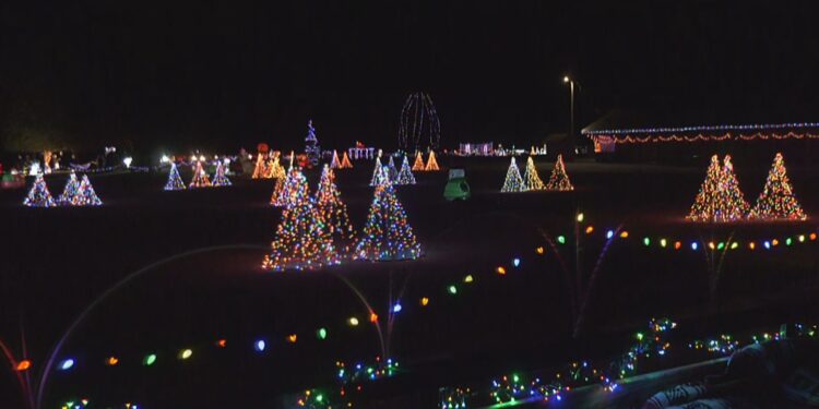 Part of last year's Lights in the Park display