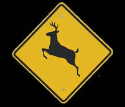 In a win for motorists and wildlife alike, MDOT has secured a grant from The Federal Government to fund a wildlife crossing analysis throughout the state. The goal is to identify the most problematic wildlife crossing points that pose a risk to motorists as well as wildlife. MDOT has been awarded nearly a half million dollars for the study, which will identify the 20 hotspots on Michigan roads that see the highest number of collisions with wildlife.