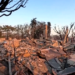 The difference between what's happening in Los Angeles and what could potentially happen here in the UP is a matter of the environment. Wildfires feed on untamed and very dry undergrowth, as well as the powerful Santa Ana winds, which drive the fires to greater intensity.