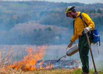 As we see the destructive power of wildfires in California, forestry experts say a controlled, intentional fire can actually be beneficial when it comes to keeping our forests safe and healthy. we spoke to those experts who explained why controlled burns are good for everyone.