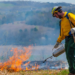 As we see the destructive power of wildfires in California, forestry experts say a controlled, intentional fire can actually be beneficial when it comes to keeping our forests safe and healthy. we spoke to those experts who explained why controlled burns are good for everyone.