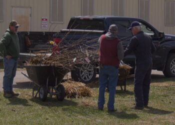 Last year's tree fundraiser pickup