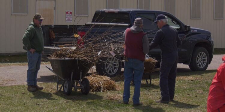 Last year's tree fundraiser pickup