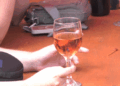 Negaunee VFW holds wine tasting