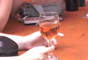 Negaunee VFW holds wine tasting