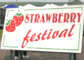 The Copper Country Strawberry Festival began Friday in Chassell. Remember that strawberry supplies are limited due to their popularity.