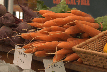 At the heart of downtown Marquette, the local farmers market is more than a place to buy produce — it’s a community gathering place.