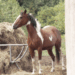 Fall is a great time to visit a farm, and one marquette county farm is opening its doors to families to meet all the animals and experience life, down on the farm.