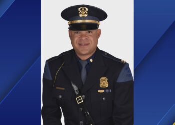 Image courtesy of MSP