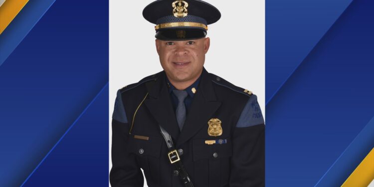 Image courtesy of MSP