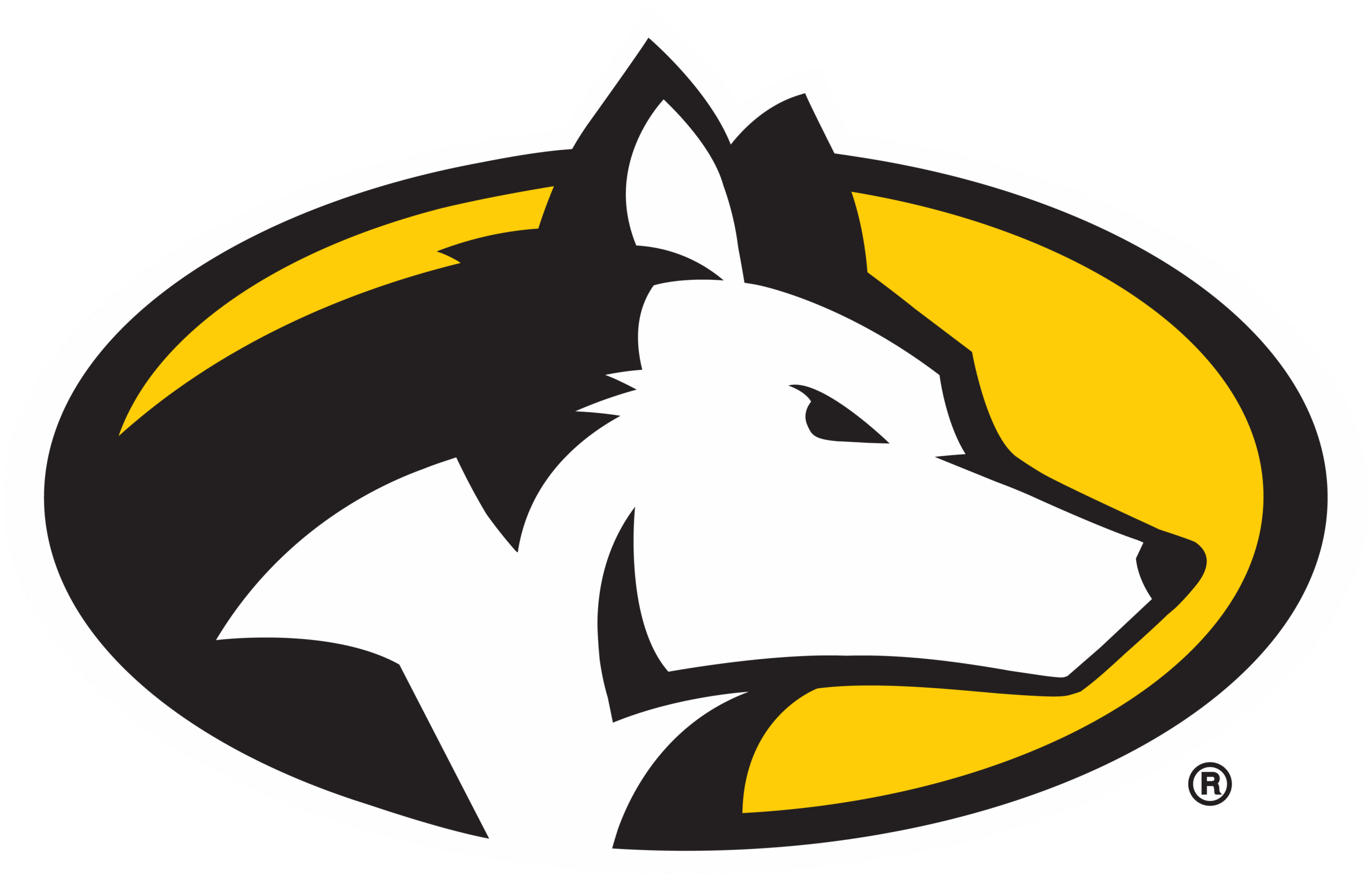 MTU’s Dennis finishes 24th at Cross Country regionals