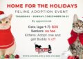UPAWS Home for the Holidays Feline Adoption event