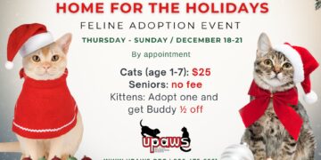 UPAWS Home for the Holidays Feline Adoption event