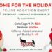UPAWS Home for the Holidays Feline Adoption event