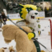 Nmu hockey carried on a holiday tradition that gets bigger and better every year tonight with the annual teddy bear toss.
