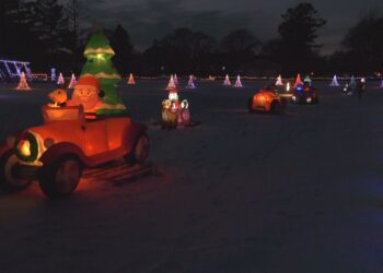 Part of last year's Lights in the Park display