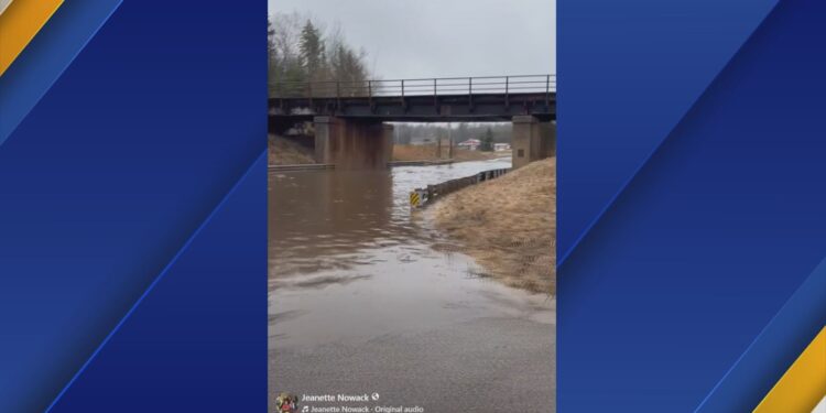 Courtesy of Jeanette Nowack