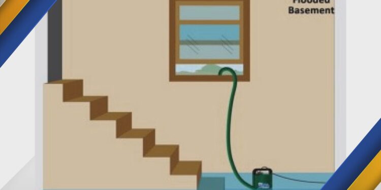 Image courtesy of MSP