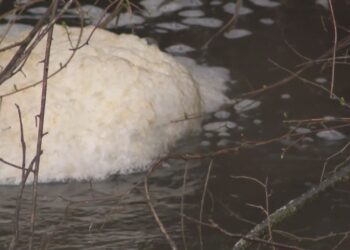 MDHHS recommends avoiding surface water foam as summer approaches