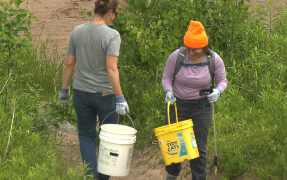 Volunteers spent the day collecting litter and documenting the types of debris found along the waterfront.