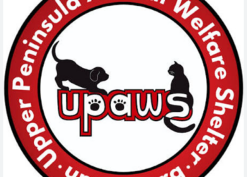 A suspected animal neglect case has stretched the Upper Peninsula Animal Welfare Shelter to its limit, leaving the shelter temporarily unable to accept stray or surrendered dogs.