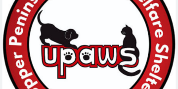 A suspected animal neglect case has stretched the Upper Peninsula Animal Welfare Shelter to its limit, leaving the shelter temporarily unable to accept stray or surrendered dogs.